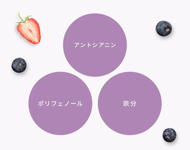 アサイーは栄養豊富